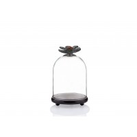 Chrysanthemum small marble bell jar